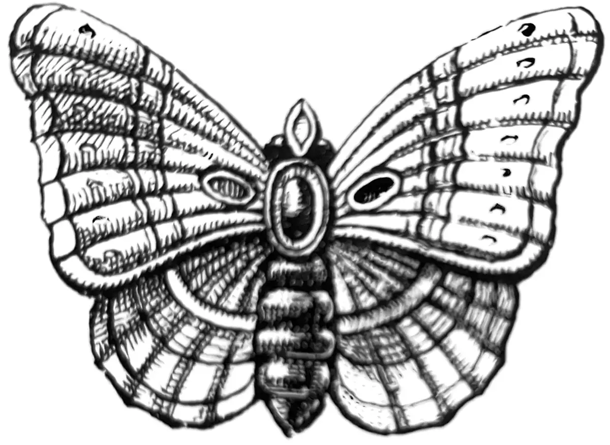 Anton Reiche Form – Illustration – Schmetterling