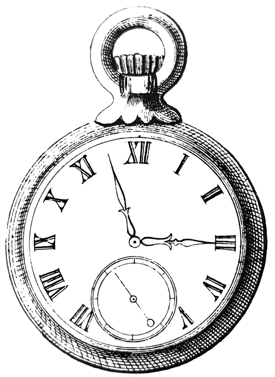 Anton Reiche Form – Illustration – Taschenuhr